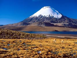 Südamerika, Chile: Contactos Con Chile - Schneebedeckte Bergkuppe und Pampa